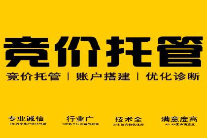 SEM竞价推广实战：优化广告投放策略提升转化率